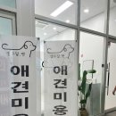 열두달펫 이미지