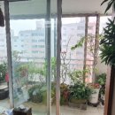 국제백양아파트
