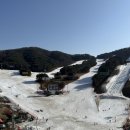 힐리 | 웰리힐리 방문 후기-1편