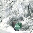 하산지점 이미지