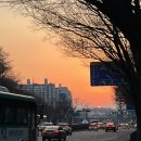 화서문지구대 | 수원스타필드 별마당도서관,런던베이글 주차 꿀팁 오픈방문 후기