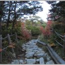 양양늘솔길 이미지