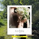 포블랑 | 부산 가성비 야외웨딩스냅 촬영부케 추천 포브플라워 후기