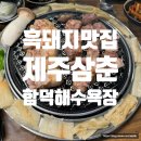 돼지삼춘 | 제주 함덕 흑돼지 맛집 제주삼춘 함덕해수욕장 저녁 후기