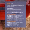 육의정