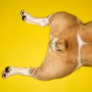 목감동물병원 이미지