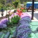 서해민박 이미지