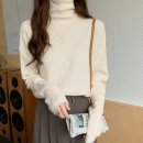 포그니 이미지