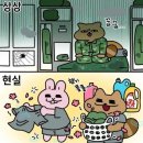 씨제이올리브영(주) 부산구서역점 | [일상] 살랑살랑 불어오는 여름 밤바람