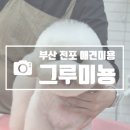 그루미뇽 | 부산 전포 애견미용 그루미뇽 재방문 후기