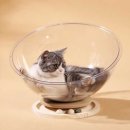 개과천선 이미지