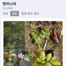 미라농원 이미지