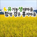 홍지마을 이미지