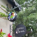 조안2리 이미지