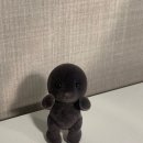 스냅슛 | 스냅슛 :: 울트라23 당일 대여 후기 KSPO DOME (체조경기장)