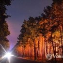 (주)대형