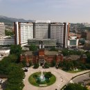 서울대학교 이미지