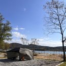 성지마을회관 | 가을단풍구경 은행나무 단풍 성지 강천섬(캠크닉)8년째가고 있는곳