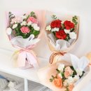 플랜트 이미지