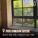 행복나무아틀리에미술교습소 | 광안리 맛집 카페ㅣ덕미 아틀리에 광안점, 개냥이가 있는 카페