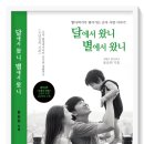 ‘은발 할머니’의 감사하는 마음과 따뜻한 사랑을 읽다 ― 송희제 수필집 『다시 일어서다』 讀後記 이미지