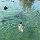 갈남항 방파제 화장실 이미지