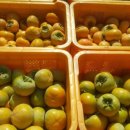 태주농장 이미지