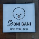 도니바니 애견유치원 이미지