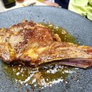 피플앤독 이미지