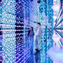 모코(MOCO) 이미지