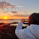 일출 | 새해 해돋이 명소 추천 제주 우도 비양도에서 만난 일출 후기