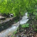 개울과 사람들 | 팍팍한 도시 탈출! 힐링 제대로 하고 온 평창 '숲과 개울' 찐 후기