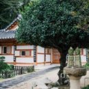 시간여행 이미지