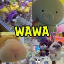 와와 | 구래동 인형뽑기 잘 되는 곳, 찐찐이가 픽한 와와 후기