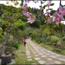 울릉예림원 Daum카페