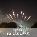 주식회사 동심 | LA 디즈니랜드 어트랙션 후기 (15가지 타고 총정리) 애너하임 디즈니랜드 놀이기구 추천