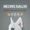 멍쌀롱 이미지