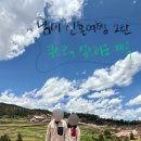 베이비엔젤식당 | [남미 페루] 남미 신혼여행 2탄ㅣ쿠스코 도착ㅣ성스러운 계곡 투어(마라스 염전, 친체로, 모라이)