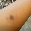 플렉스피부과의원 이미지