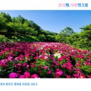 작약정원