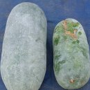비밀의농부