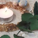 파랑새둥지 이미지