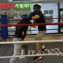 미스터복싱짐 이미지