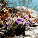 문산1리 이미지