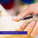 마음든 동물병원 이미지