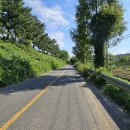 시례새터길 이미지