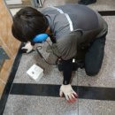 목포영산초등학교 이미지