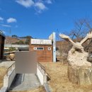 민들레동산야영장 이미지