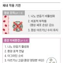 정다운개발