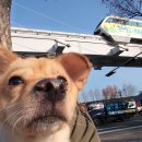 경북종합동물병원 이미지